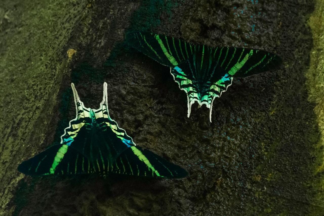 Grand Amazon Lodge And Tours Paraíso Екстериор снимка