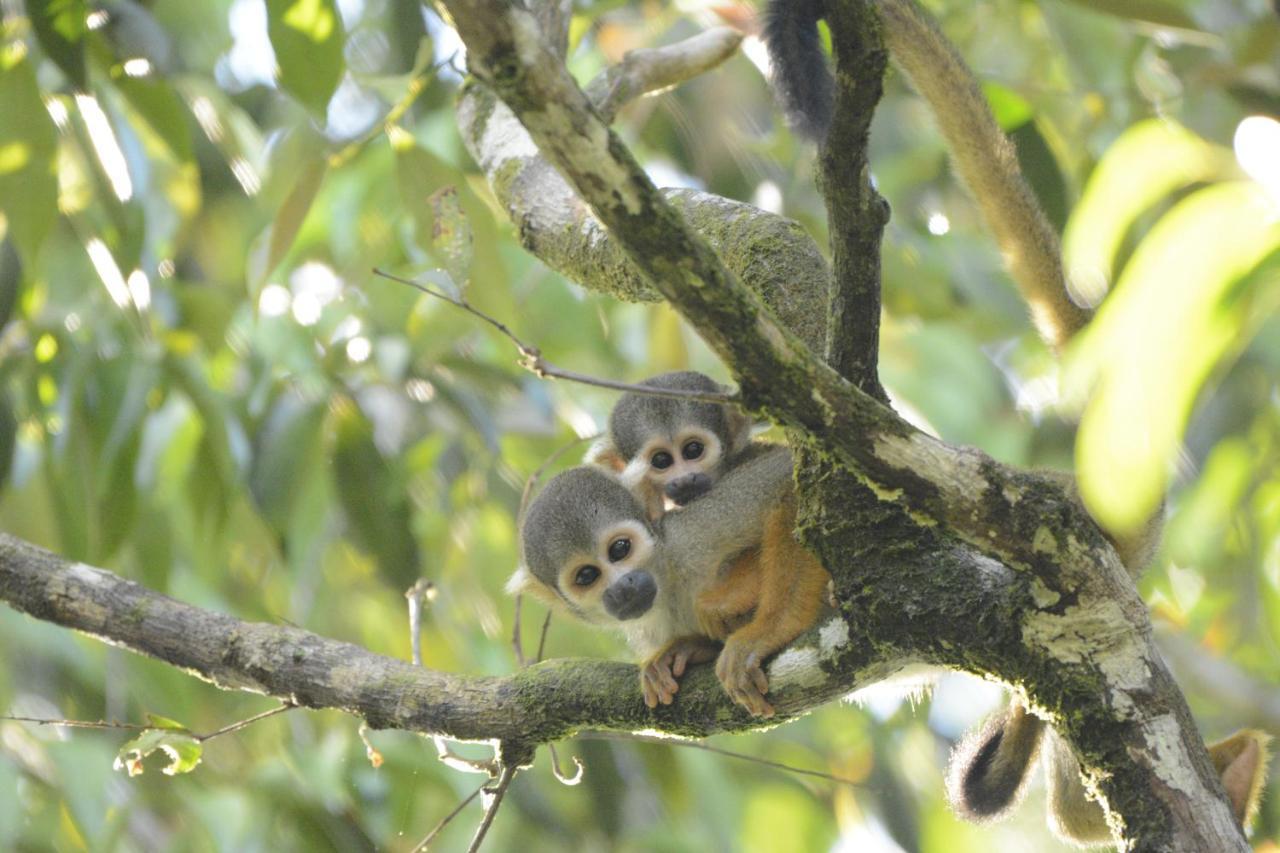 Grand Amazon Lodge And Tours Paraíso Екстериор снимка
