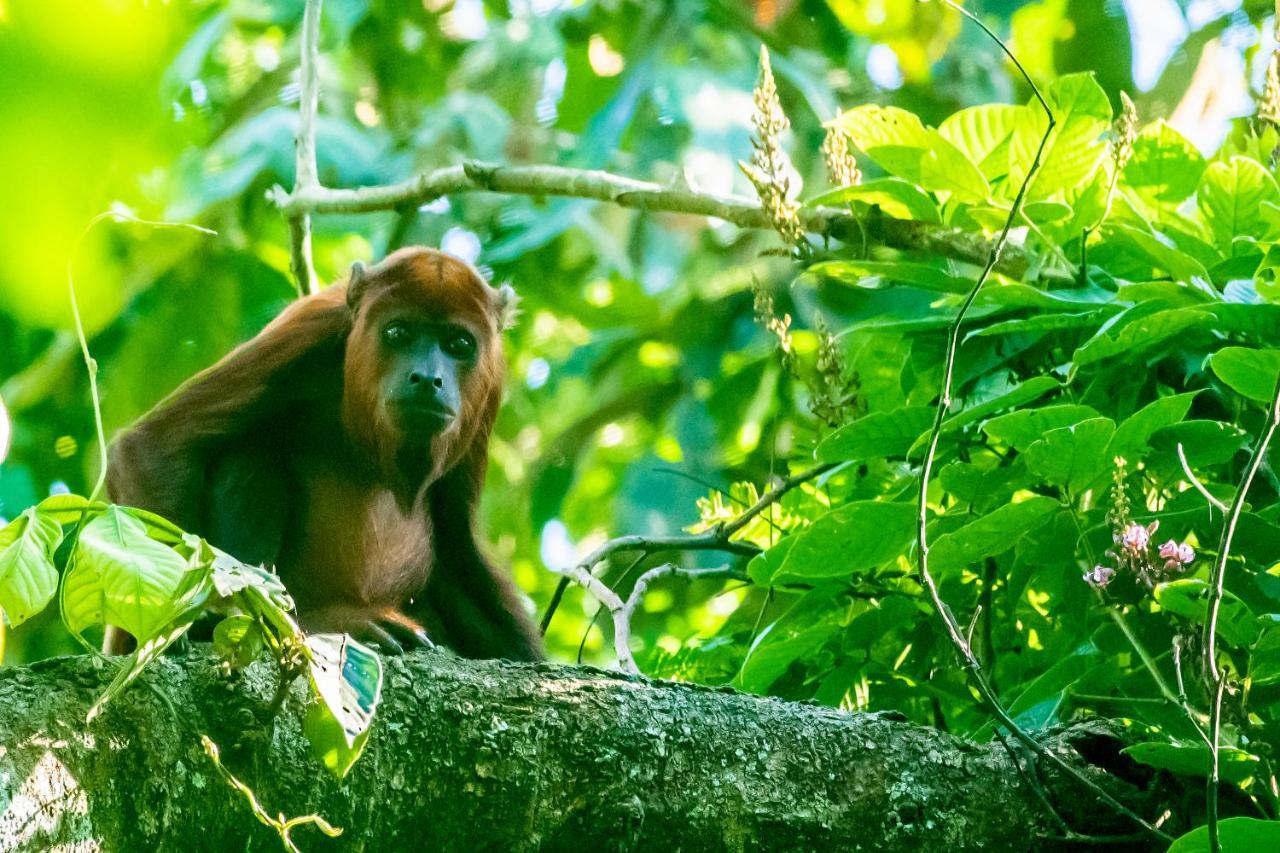 Grand Amazon Lodge And Tours Paraíso Екстериор снимка