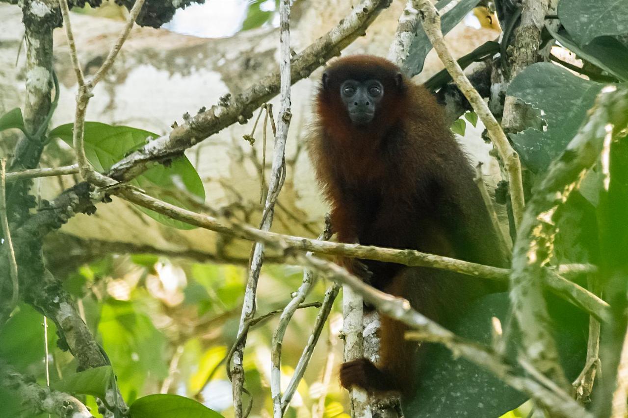 Grand Amazon Lodge And Tours Paraíso Екстериор снимка