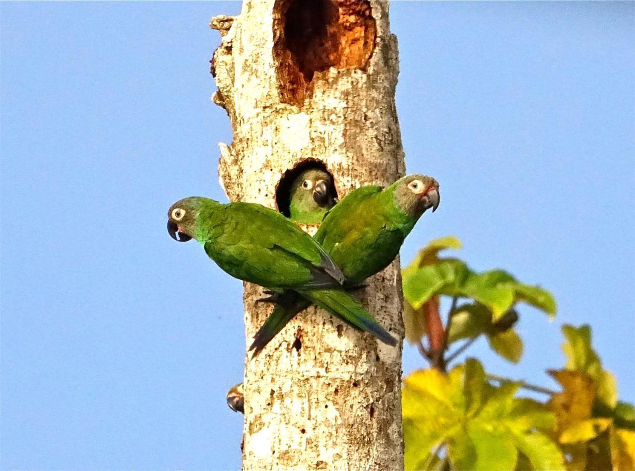 Grand Amazon Lodge And Tours Paraíso Екстериор снимка