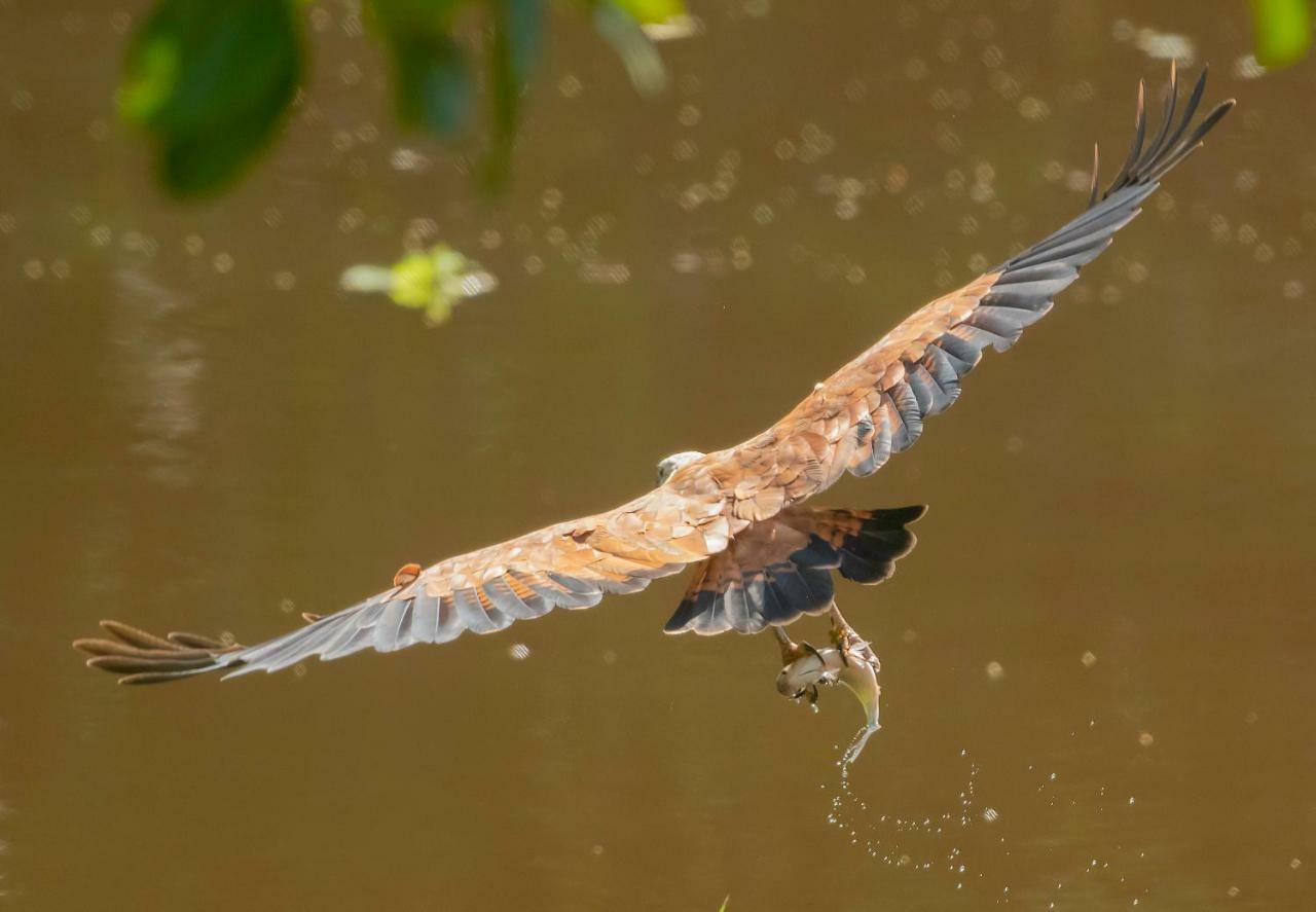 Grand Amazon Lodge And Tours Paraíso Екстериор снимка