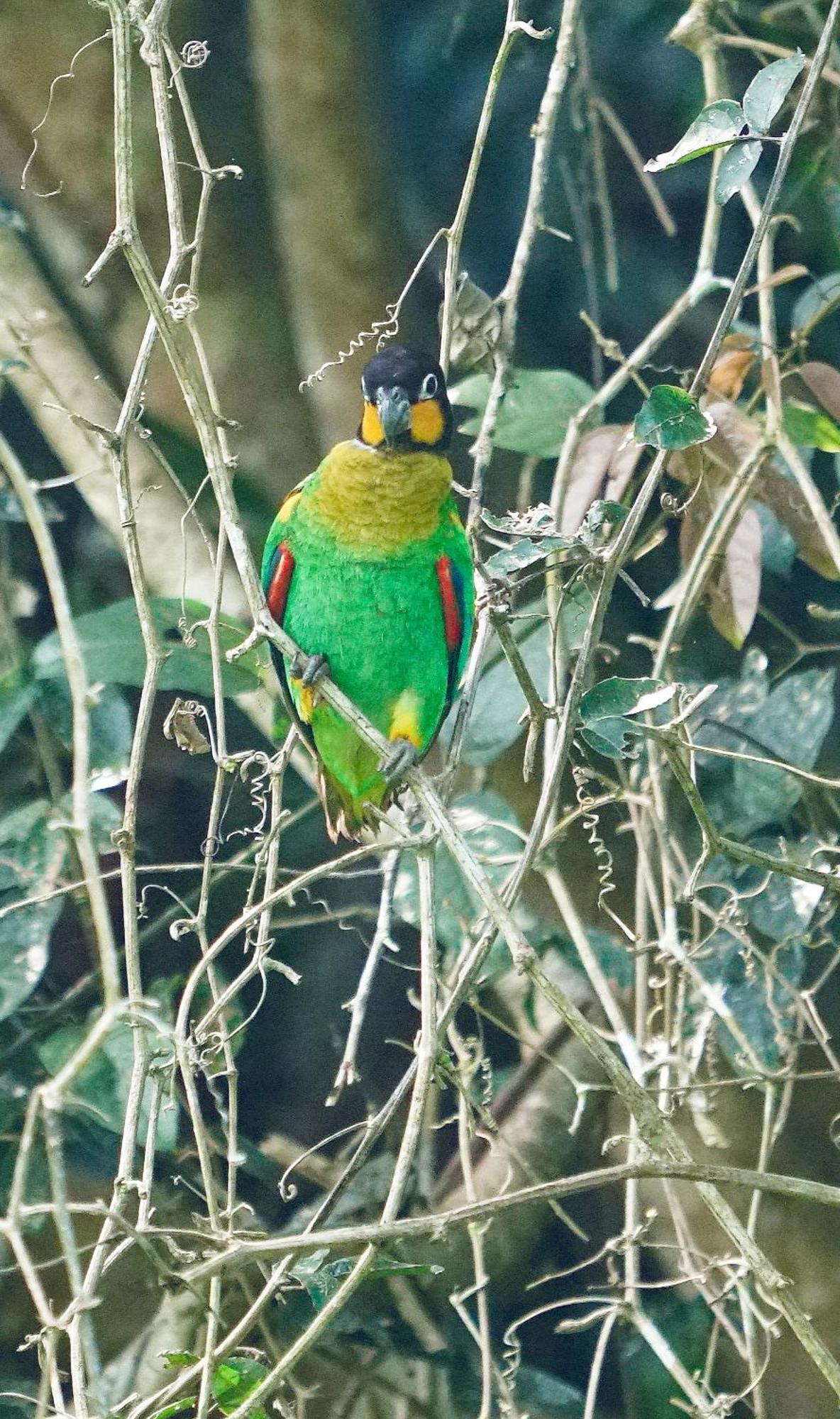 Grand Amazon Lodge And Tours Paraíso Екстериор снимка