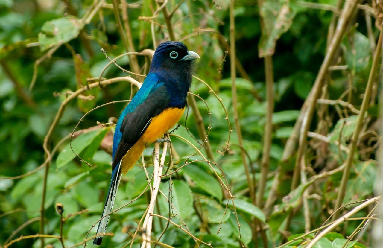 Grand Amazon Lodge And Tours Paraíso Екстериор снимка