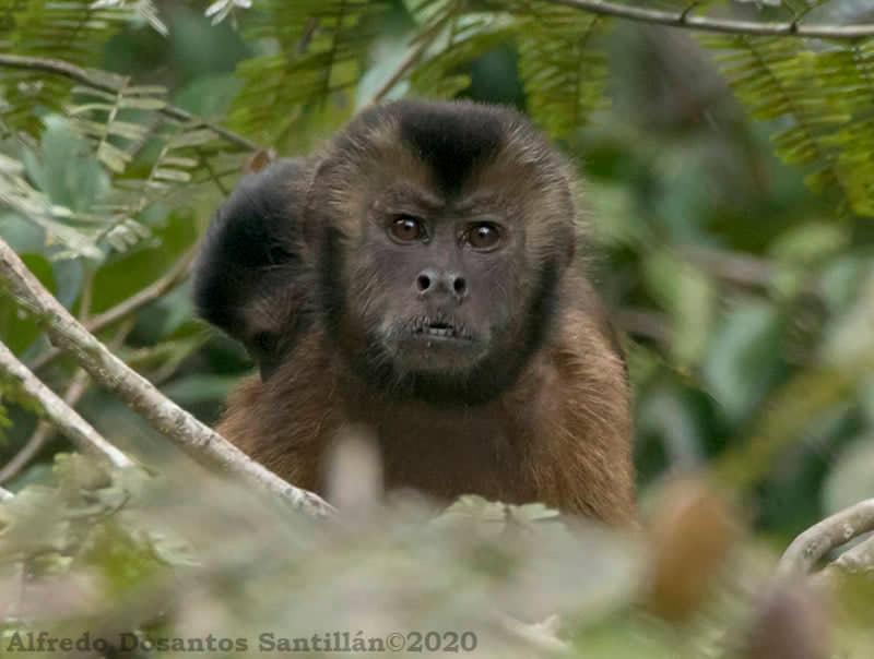 Grand Amazon Lodge And Tours Paraíso Екстериор снимка