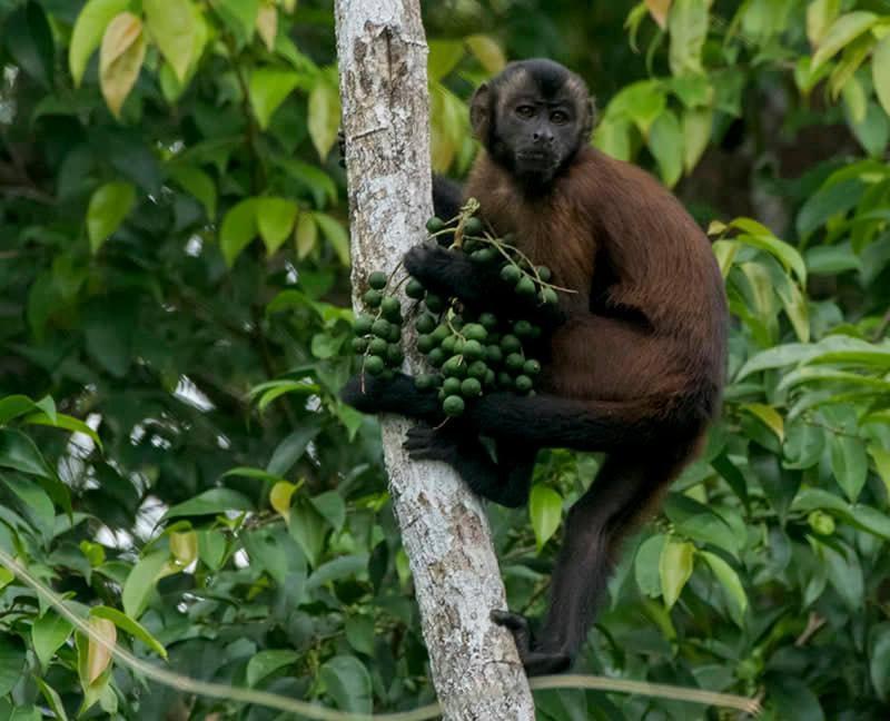 Grand Amazon Lodge And Tours Paraíso Екстериор снимка